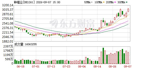 概率超90%!这一警报拉响 A股“黑马板块”迎来爆发窗口
